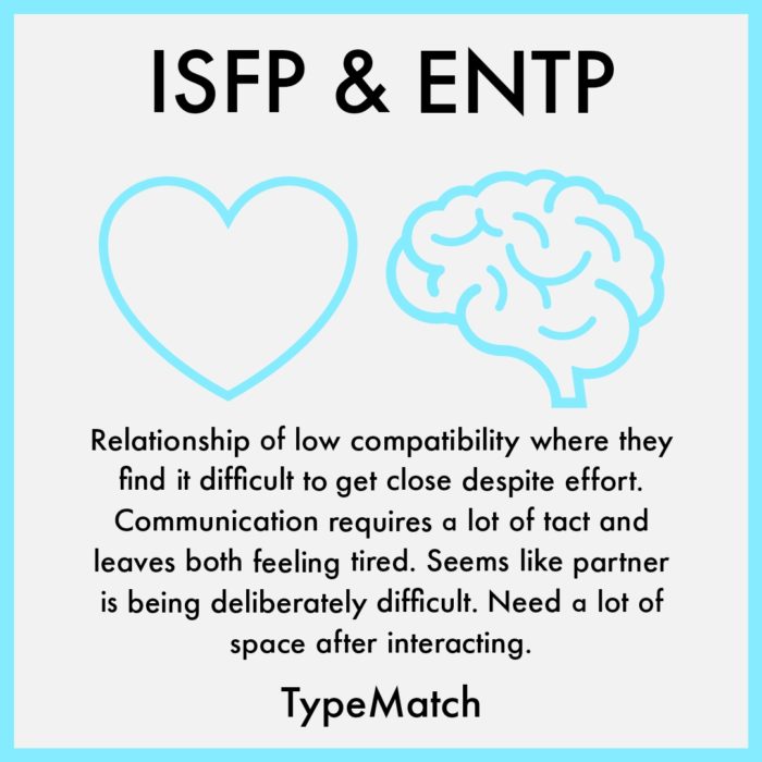 ISFP And ENTP Relationship TypeMatch