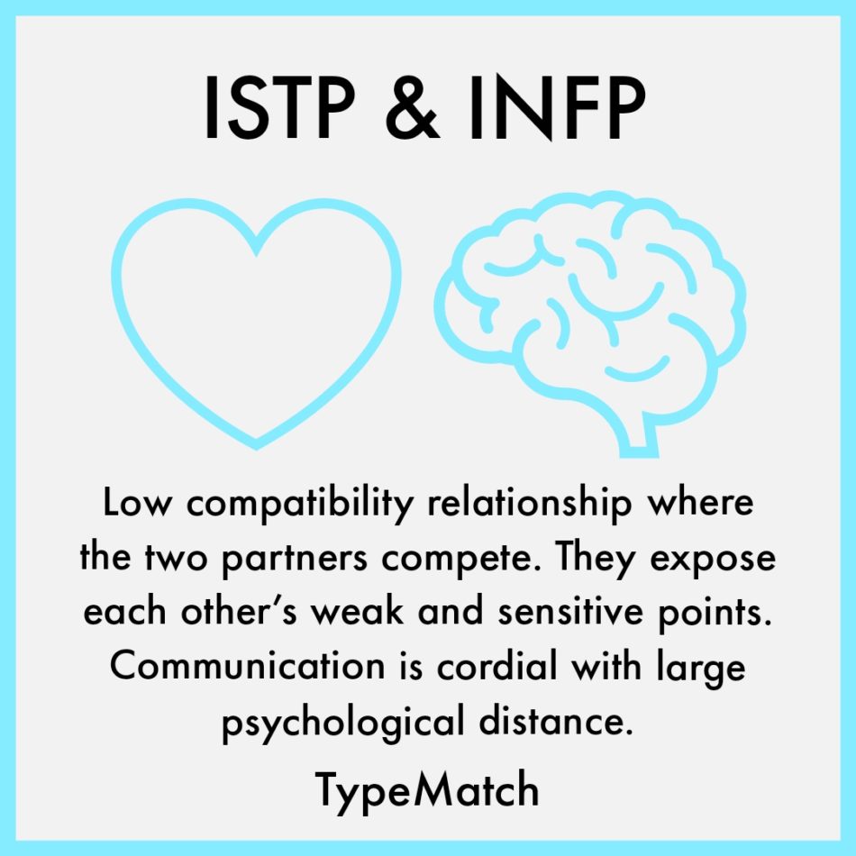 INFP And ISTP Relationship TypeMatch