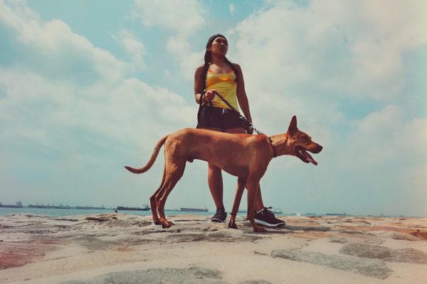 strong-woman-with-a-big-brown-dog-in-a-leash-2021-09-03-11-54-35-utc